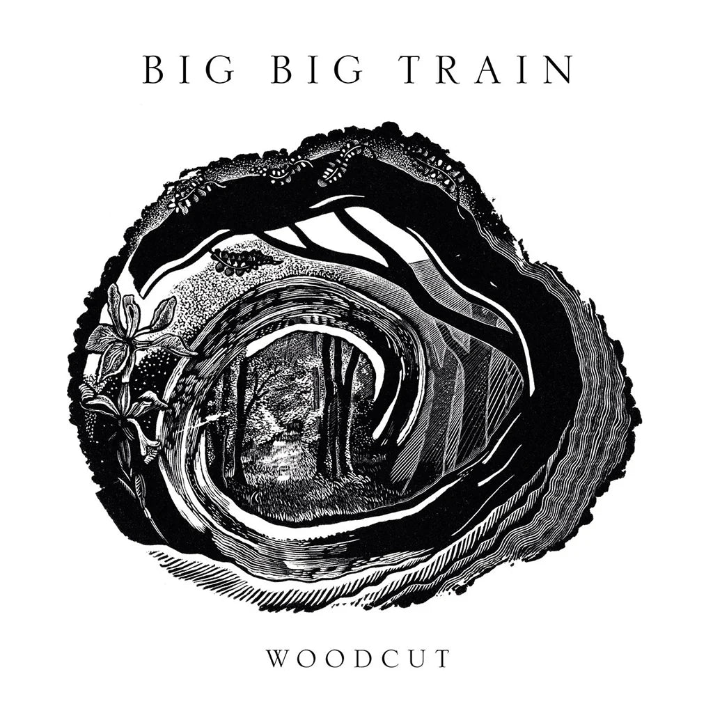 Big Big Train _ Woodcut - 2 x INKWELL BLACK 180 GRAM VINYL LP SET in LIMITED GATEFOLD - NEW