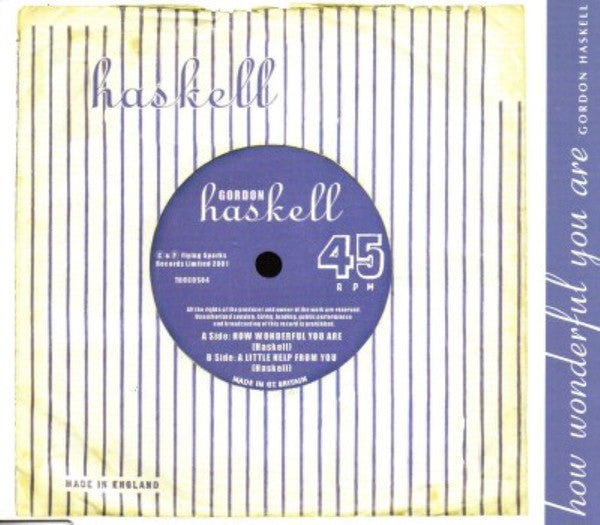 Gordon Haskell – How Wonderful You Are - CD SINGLE (Used)