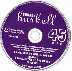 Gordon Haskell – How Wonderful You Are - CD SINGLE (Used)