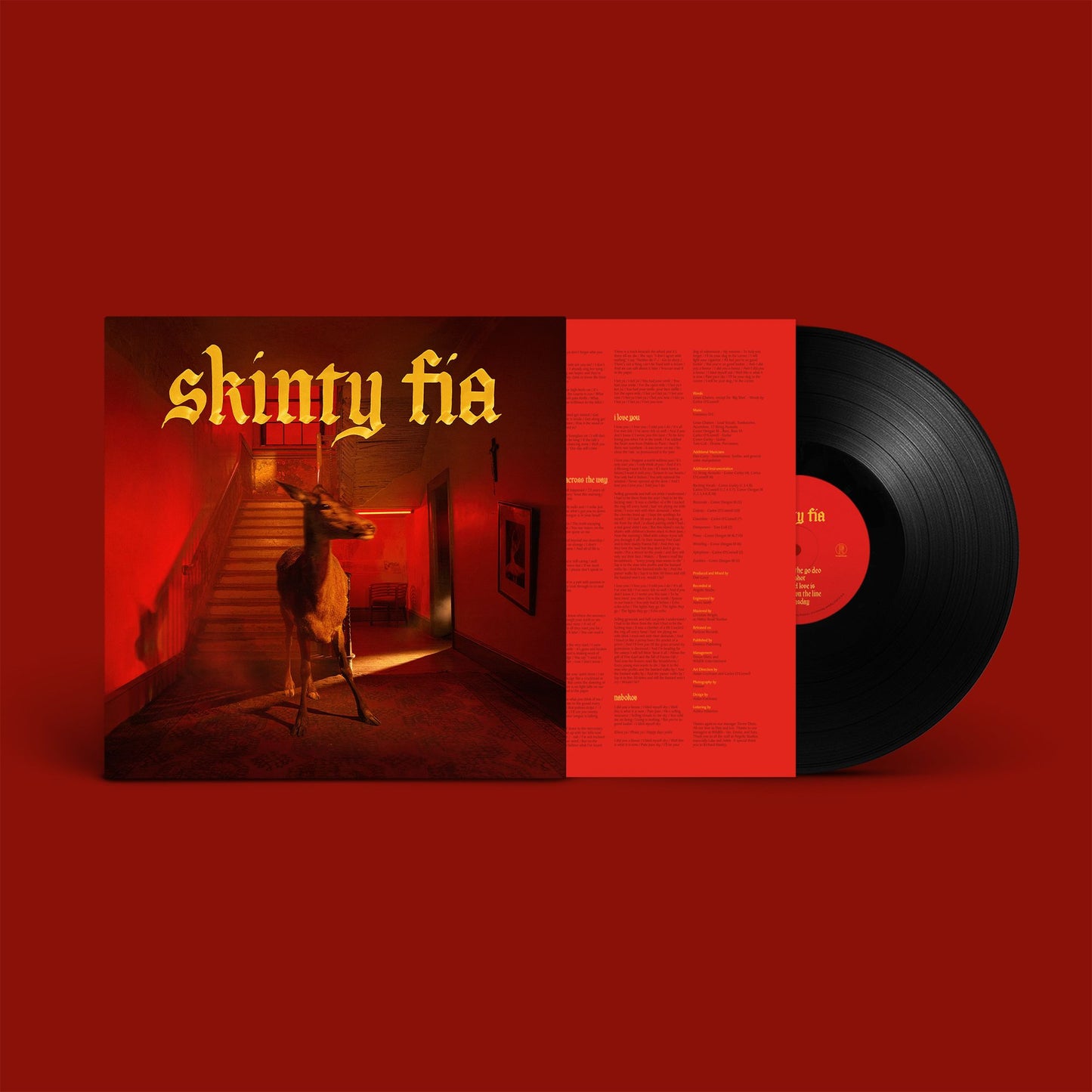 Fontaines D.C. – Skinty Fia - VINYL LP