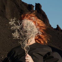 Goldfrapp – Silver Eye - CD