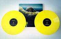 Beyonce ‎– Lemonade - 2 x YELLOW COLOURED 180 GRAM VINYL LP SET (used)