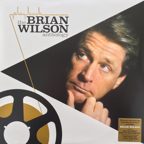 Brian Wilson – Playback: The Brian Wilson Anthology - 2 x VINYL LP SET