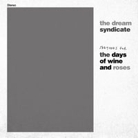 The Dream Syndicate - Sketches for the Days of Wine and Roses- VINYL LP (RSD24)