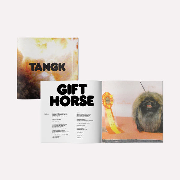 Idles – Tangk - DELUXE TRANSLUCENT YELLOW COLOURED VINYL LP