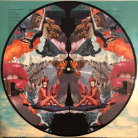 Noel Gallagher's High Flying Birds ‎– Who Built The Moon? - PICTURE DISC VINYL LP