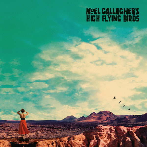 Noel Gallagher's High Flying Birds ‎– Who Built The Moon? - PICTURE DISC VINYL LP