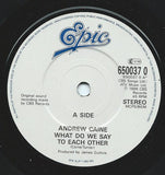 Andrew Caine – Q. What Do We Say To Each Other? - 7 INCH in POSTER PICTURE COVER (used)