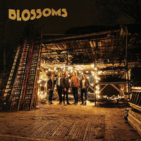 Blossoms – Blossoms - VINYL LP