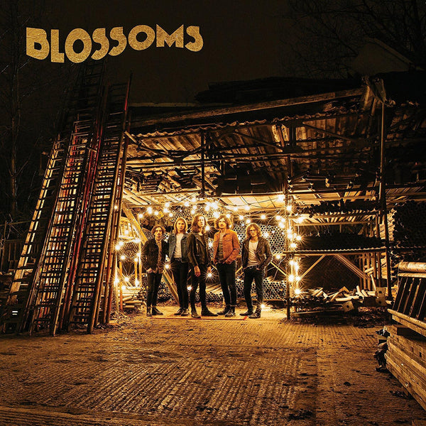 Blossoms – Blossoms - VINYL LP