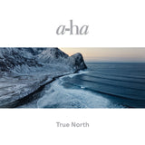 a-ha – True North - 2 x RECYCLED COLOURED VINYL LP SET - NEW