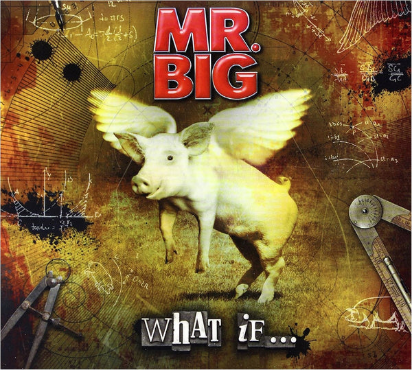 Mr. Big – What If... - CD ALBUM & DVD SET in FOLDOUT DIGIPAK (used)