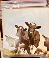 Pink Floyd – Atom Heart Mother - ORIGINAL 1st Edition VINYL LP on Harvest from 1970 (used)