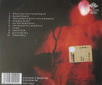 Porcupine Tree – Up The Downstair- CD ALBUM (used)