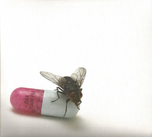 Red Hot Chili Peppers – I'm With You - CD ALBUM
