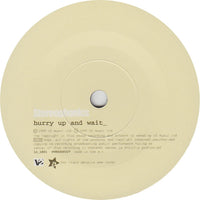 Stereophonics ‎– Hurry Up And Wait - VINYL 7" SINGLE in PICTURE COVER  (used)