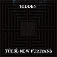 These New Puritans – Hidden - VINYL LP