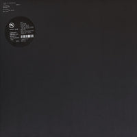 Aphex Twin ‎– Computer Controlled Acoustic Instruments Pt2 (EP) - 12" VINYL