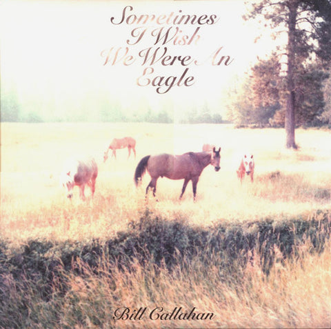 Bill Callahan ‎– Sometimes I Wish We Were An Eagle VINYL LP
