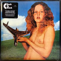 Blind Faith ‎– Blind Faith - 180 GRAM VINYL LP