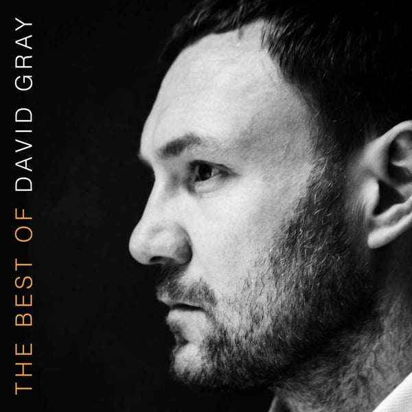 David Gray ‎– The Best Of David Gray - 2 x VINYL LP SET