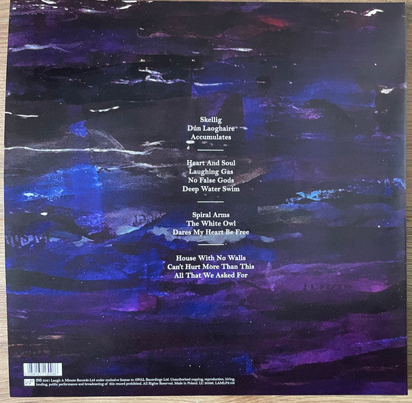 David Gray ‎– Skellig 2 x VINYL LP SET