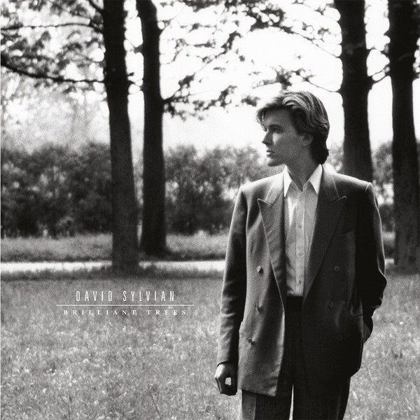 David Sylvian ‎– Brilliant Trees CD