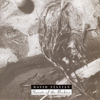 David Sylvian ‎– Secrets Of The Beehive CD