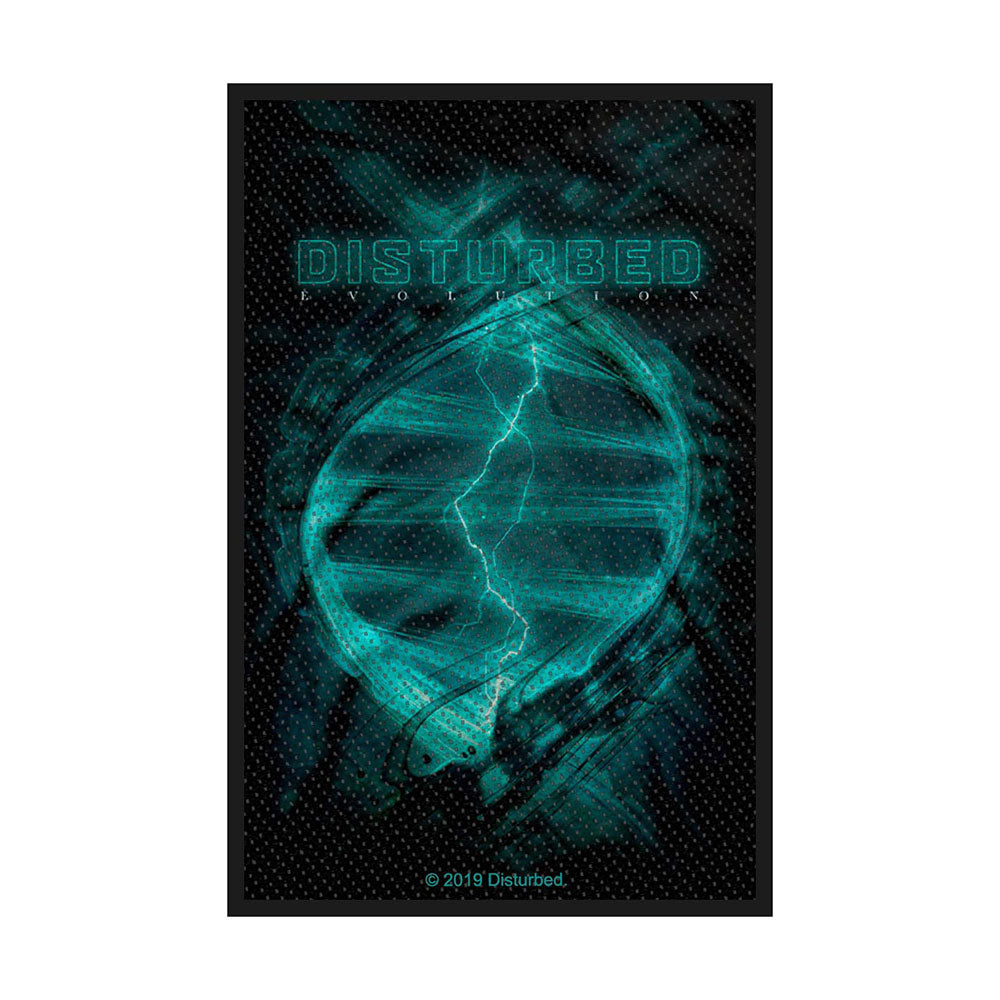 DISTURBED PATCH: EVOLUTION