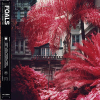 Foals ‎– Everything Not Saved Will Be Lost: Part 1 - VINYL LP