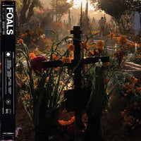 Foals ‎– Everything Not Saved Will Be Lost: Part 2 VINYL LP