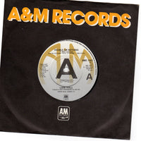 Lani Hall - Double Or Nothing - PROMO ONLY 7" SINGLE (used)