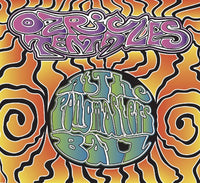 Ozric Tentacles ‎– At The Pongmasters Ball 2 x 180 GRAM VINYL LP SET