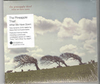 The Pineapple Thief ‎– What We Have Sown CD