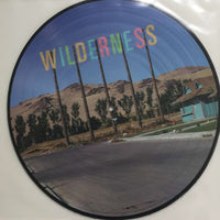 The Pineapple Thief ‎– Your Wilderness PICTURE DISC VINYL LP LIMITED EDITION