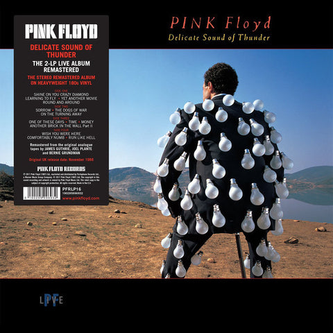 pink floyd delicate sound of thunder 2 x 180 GRAM VINYL LP SET (WARNER)