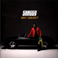 Shaggy ‎– Wah Gwaan?! 2 x GREEN & YELLOW COLOURED VINYL LP SET