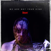 Slipknot ‎– We Are Not Your Kind - 2 x VINYL LP SET - NEW