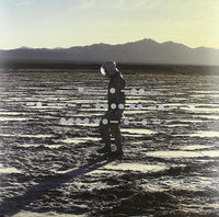 Spiritualized ‎– And Nothing Hurt - VINYL LP