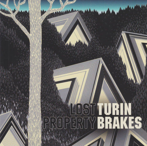Turin Brakes ‎– Lost Property 180 GRAM VINYL LP