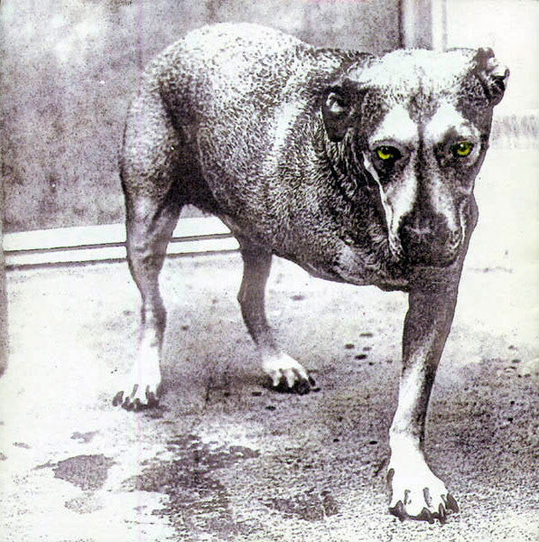 alice in chains alice in chains CD (SONY)