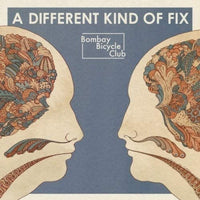 Bombay Bicycle Club A Different Kind Of Fix CD