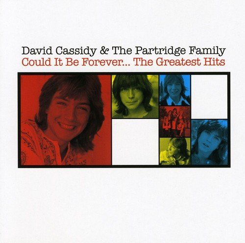 david cassidy & the partridge family could it be forever the greatest hits CD (SONY)