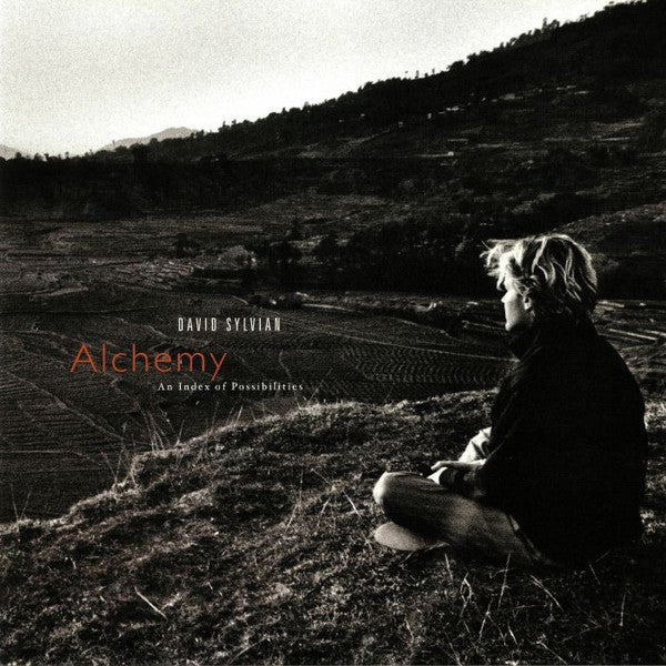 David Sylvian – Alchemy An Index Of Possibilities - 180 GRAM VINYL LP