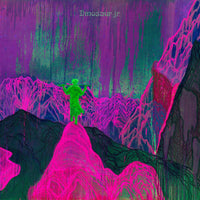 Dinosaur Jr. ‎– Give A Glimpse Of What Yer Not VINYL LP