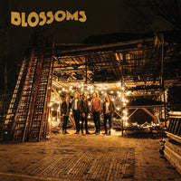 Blossoms – Blossoms ORANGE COLOURED VINYL LP (NAD22)