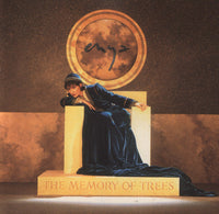 Enya – The Memory Of Trees - CD ALBUM (used)