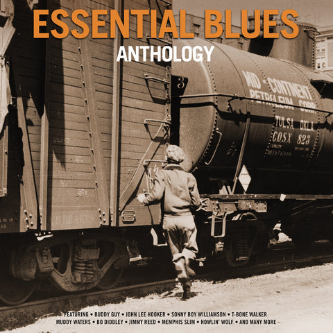 Essential Blues Anthology Various 2 x VINYL LP SET
