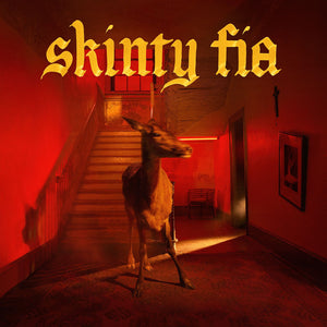 Fontaines D.C. ‎– Skinty Fia CD