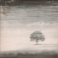 genesis wind and wuthering LP (UNIVERSAL)